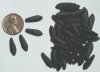 50 5x16mm Matte Black Daggers